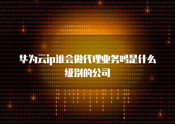 华为云ip谁会做代理业务吗是什么级别的公司
