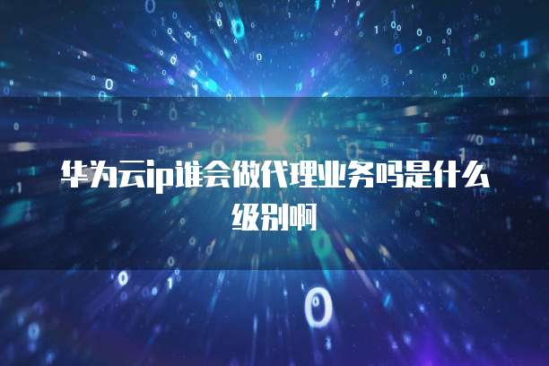 华为云ip谁会做代理业务吗是什么级别啊