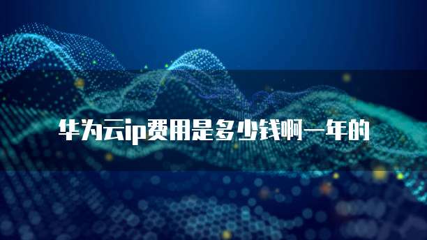 华为云ip费用是多少钱啊一年的