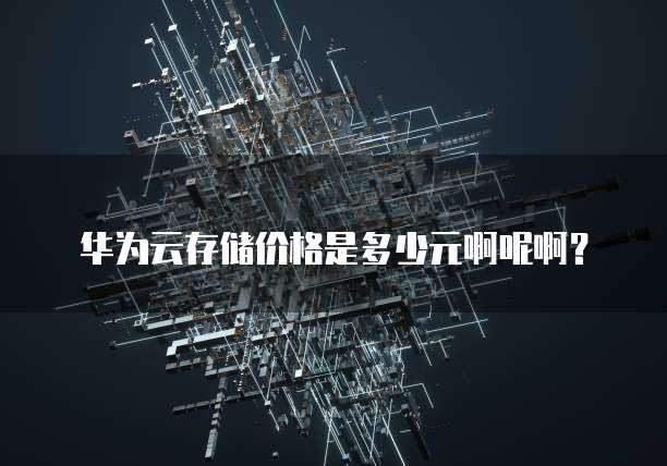 华为云存储价格是多少元啊呢啊？