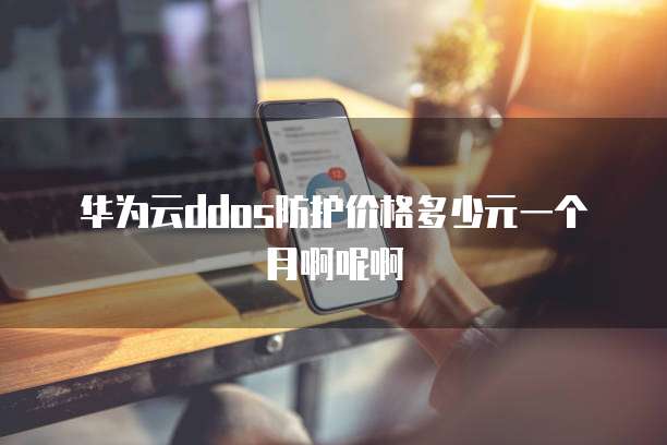 华为云ddos防护价格多少元一个月啊呢啊