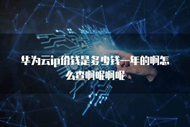 华为云ip价钱是多少钱一年的啊怎么查啊呢啊呢
