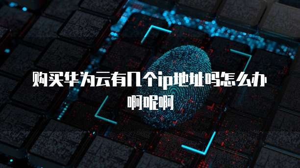 购买华为云有几个ip地址吗怎么办啊呢啊