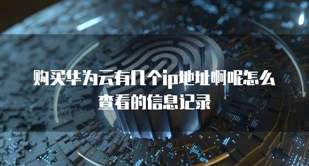 购买华为云有几个ip地址啊呢怎么查看的信息记录