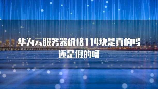 华为云服务器价格114块是真的吗还是假的呀