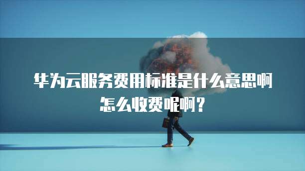 华为云服务费用标准是什么意思啊怎么收费呢啊？