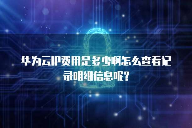 华为云IP费用是多少啊怎么查看记录明细信息呢?