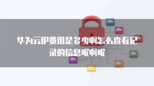 华为云IP费用是多少啊怎么查看记录的信息呢啊呢