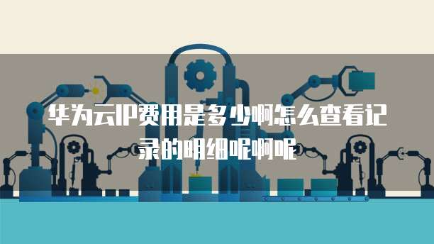 华为云IP费用是多少啊怎么查看记录的明细呢啊呢