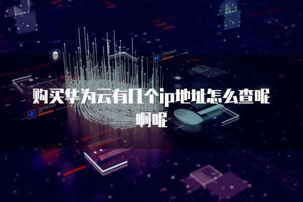 购买华为云有几个ip地址怎么查呢啊呢