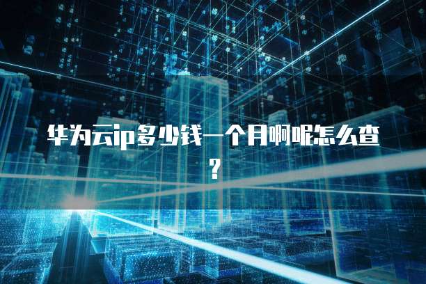华为云ip多少钱一个月啊呢怎么查?