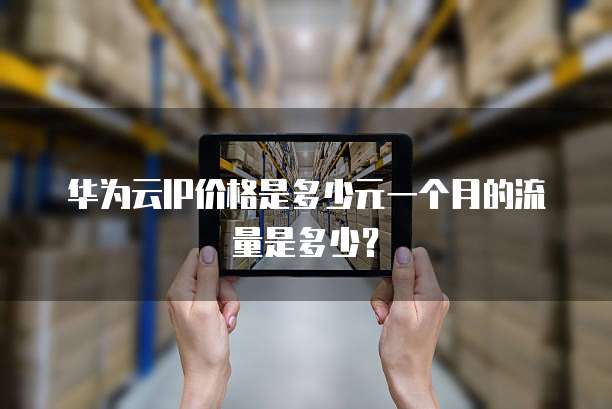 华为云IP价格是多少元一个月的流量是多少?