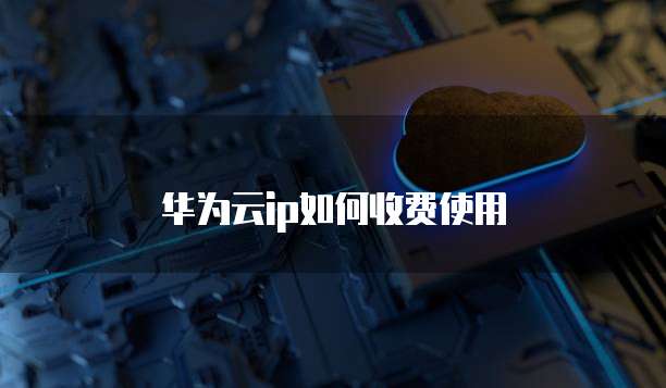 华为云ip如何收费使用