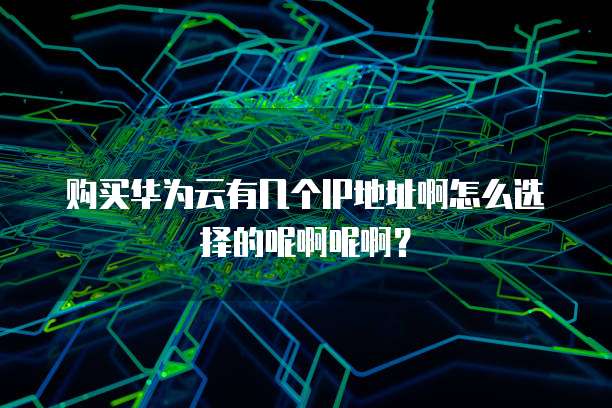 购买华为云有几个IP地址啊怎么选择的呢啊呢啊?