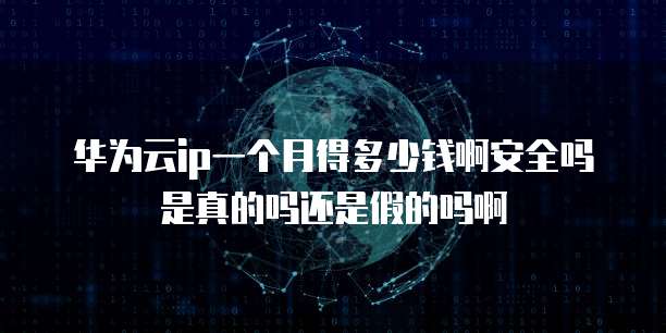 华为云ip一个月得多少钱啊安全吗是真的吗还是假的吗啊