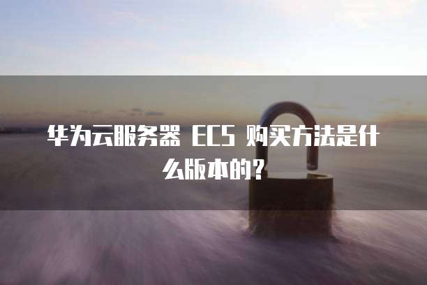 华为云服务器 ECS 购买方法是什么版本的?
