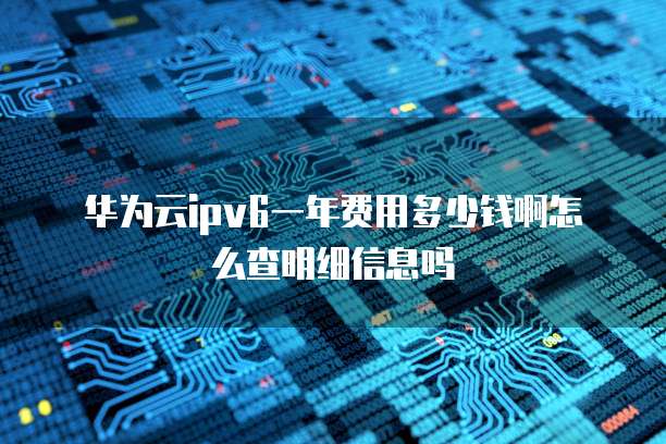 华为云ipv6一年费用多少钱啊怎么查明细信息吗