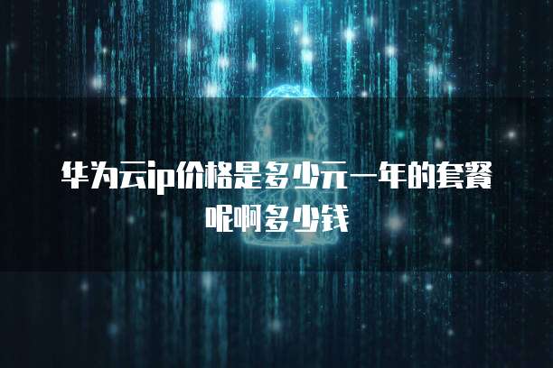华为云ip价格是多少元一年的套餐呢啊多少钱