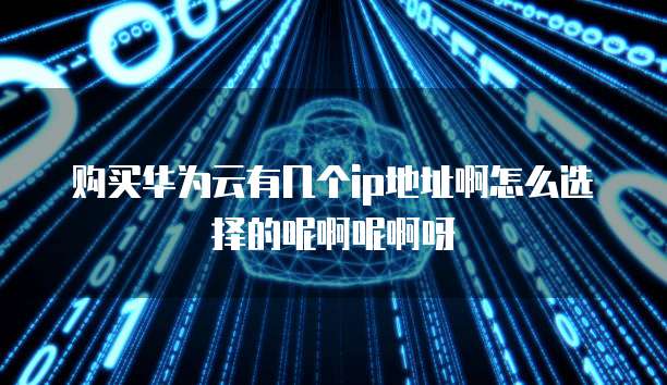 购买华为云有几个ip地址啊怎么选择的呢啊呢啊呀