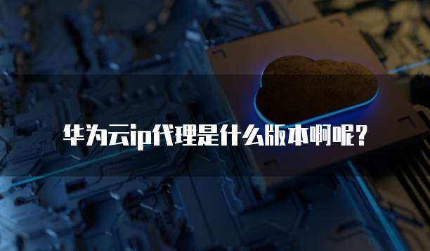 华为云ip代理是什么版本啊呢?
