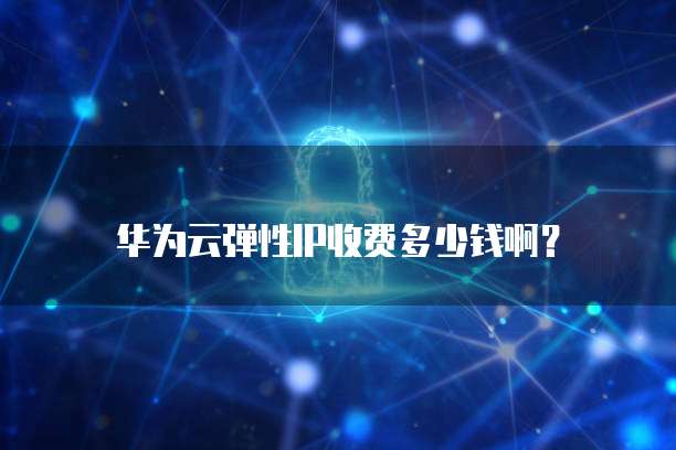 华为云弹性IP收费多少钱啊?