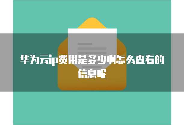 华为云ip费用是多少啊怎么查看的信息呢