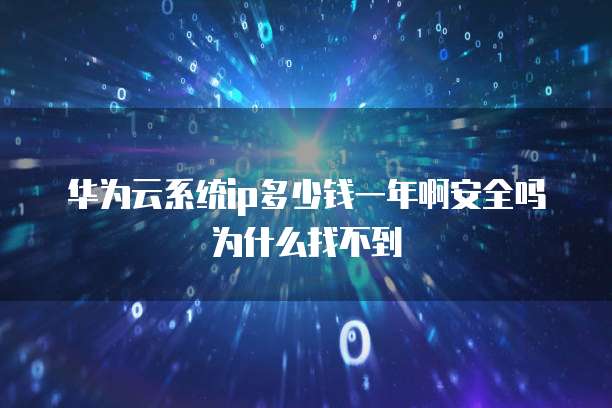 华为云系统ip多少钱一年啊安全吗为什么找不到