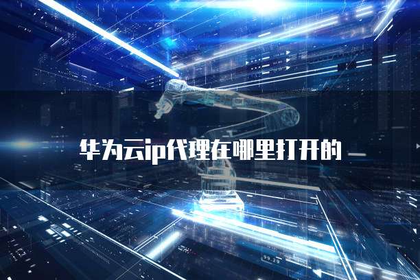 华为云ip代理在哪里打开的