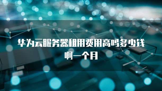 华为云服务器租用费用高吗多少钱啊一个月