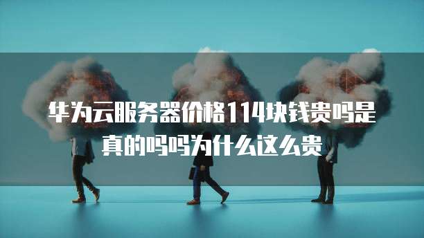 华为云服务器价格114块钱贵吗是真的吗吗为什么这么贵