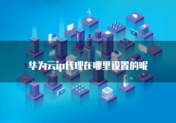 华为云ip代理在哪里设置的呢