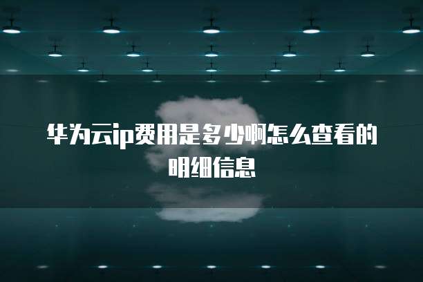 华为云ip费用是多少啊怎么查看的明细信息