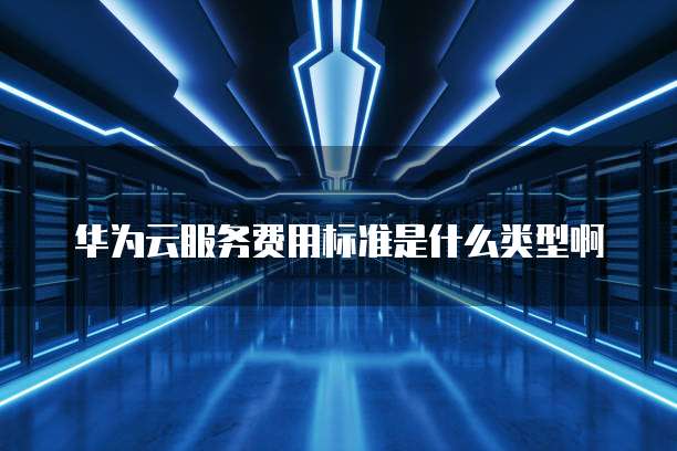 华为云服务费用标准是什么类型啊