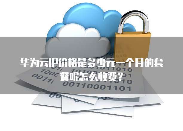 华为云IP价格是多少元一个月的套餐呢怎么收费?