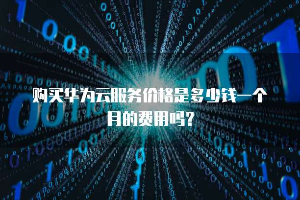 购买华为云服务价格是多少钱一个月的费用吗？