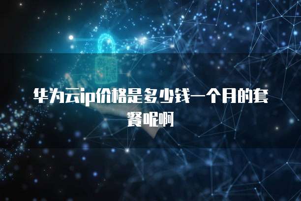 华为云ip价格是多少钱一个月的套餐呢啊