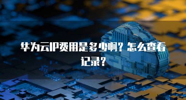 华为云IP费用是多少啊?怎么查看记录?