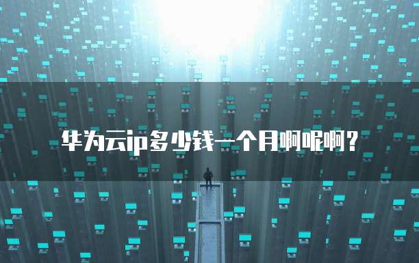 华为云ip多少钱一个月啊呢啊?
