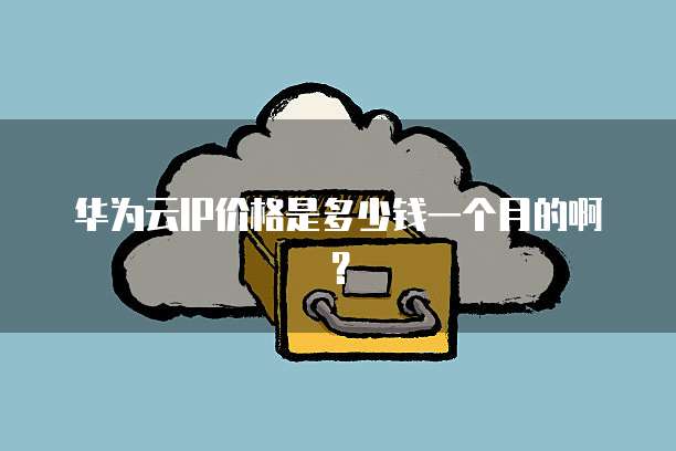 华为云IP价格是多少钱一个月的啊?