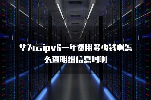 华为云ipv6一年费用多少钱啊怎么查明细信息吗啊