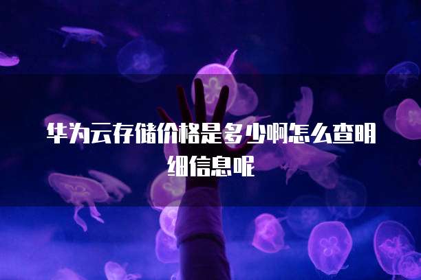 华为云存储价格是多少啊怎么查明细信息呢