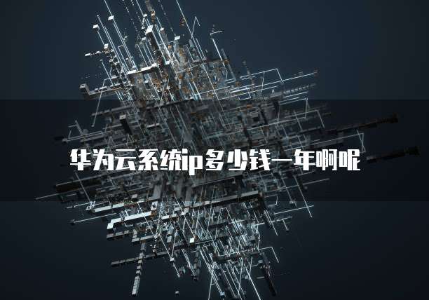 华为云系统ip多少钱一年啊呢
