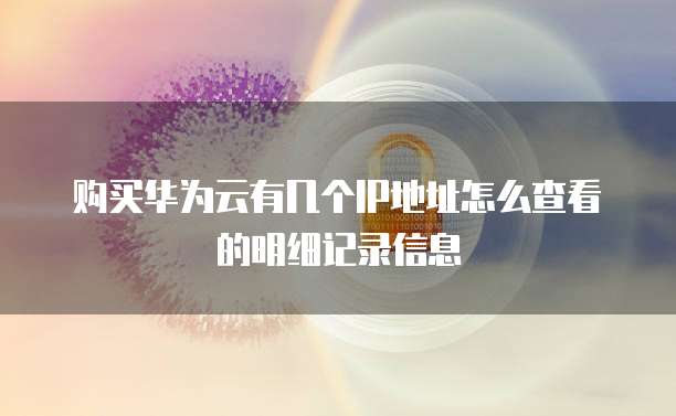 购买华为云有几个IP地址怎么查看的明细记录信息