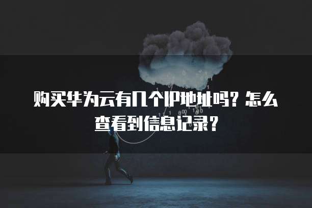 购买华为云有几个IP地址吗?怎么查看到信息记录?