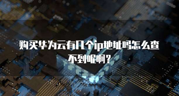 购买华为云有几个ip地址吗怎么查不到呢啊?