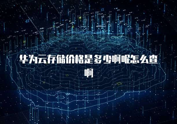 华为云存储价格是多少啊呢怎么查啊