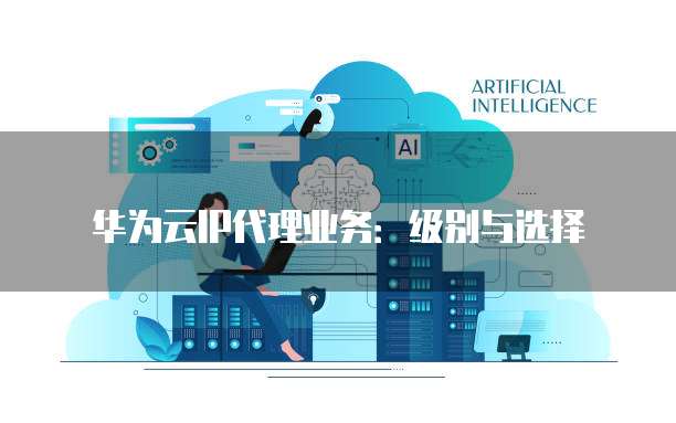华为云IP代理业务:级别与选择