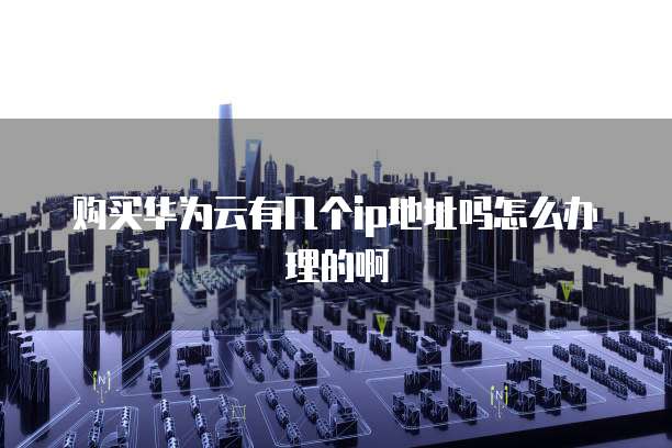 购买华为云有几个ip地址吗怎么办理的啊