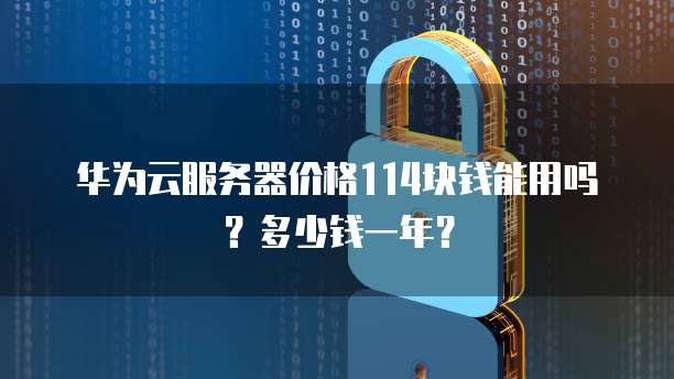 华为云服务器价格114块钱能用吗?多少钱一年?