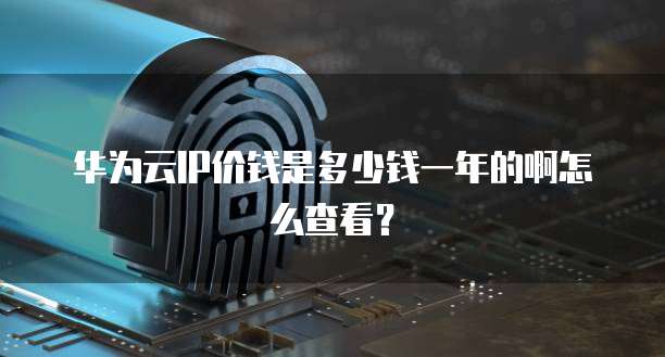 华为云IP价钱是多少钱一年的啊怎么查看?